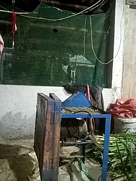 nangmo online show from March 12, 11:22 pm