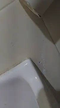 Oscarinylupis2328 online show from June 7, 3:43 am
