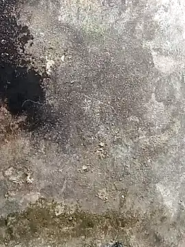 Snapshot of lynae-0 chatting on December 15, 5:12 am lynae-0 online show from December 15, 5:12 am