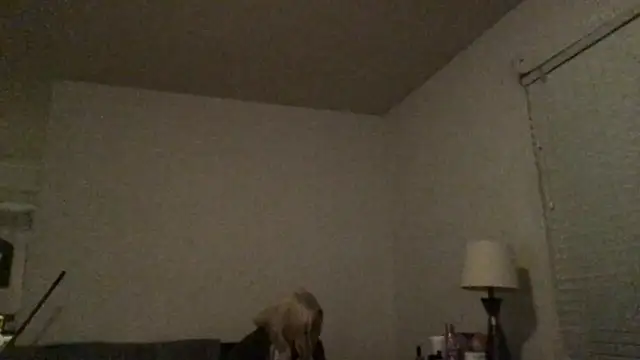 Babyboobabybye08 online show from March 6, 11:17 am