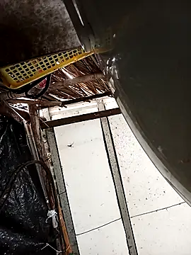 Lin-kute98 online show from April 23, 2:24 am