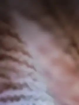 Punam panjabi online show from February 28, 7:53 am