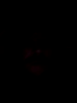 poeperke2830 online show from November 26, 2:01 am