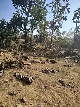 88zaifkhan88 online show from January 7, 4:48 am