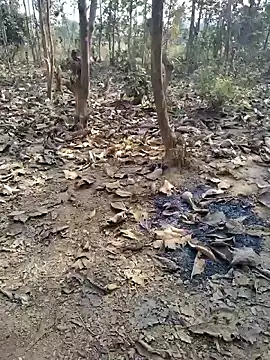 88zaifkhan88 online show from January 8, 4:37 am