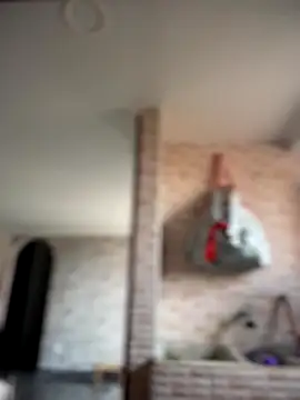 Snapshot of -Nala chatting on December 2, 12:10 pm -Nala online show from December 2, 12:10 pm