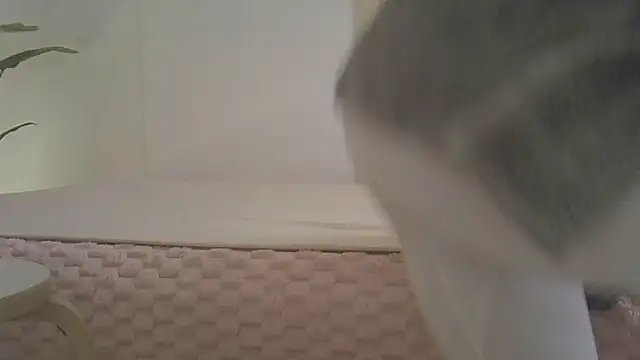 kyono-iyashi online show from March 8, 2:43 pm