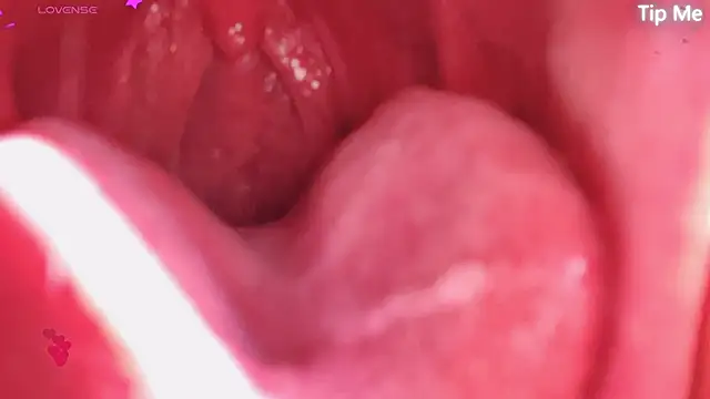 LT-333 online show from April 22, 2:58 am