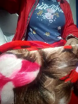 SassyDiy online show from January 13, 11:59 am