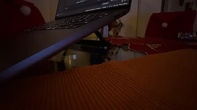 Snapshot of AndyLD20x6 chatting on December 3, 11:14 pm AndyLD20x6 online show from December 3, 11:14 pm