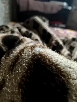 Snapshot of Mahi-Aman chatting on December 5, 2:42 am Mahi-Aman online show from December 5, 2:42 am