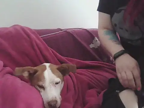 Darkytah online show from February 20, 3:34 pm