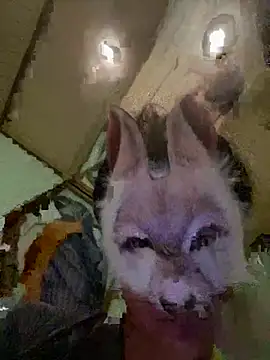 aotaro0721 online show from February 27, 4:01 am