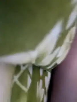 Snapshot of Aalam_0890 chatting on December 15, 11:03 am Aalam 0890 online show from December 15, 11:03 am