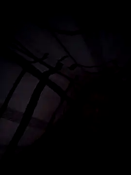 scotbhoyscott online show from March 10, 4:17 am