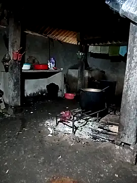 ava-dellght online show from March 15, 12:49 am