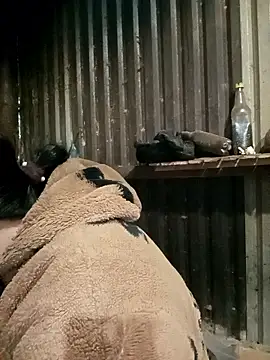 sary-hot2x online show from January 7, 11:51 pm