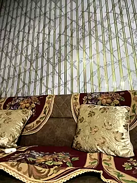 Shanky HD online show from December 19, 3:13 am