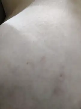 Snapshot of palomitka chatting on February 11, 5:45 am palomitka online show from February 11, 5:45 am