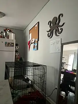 alluringpixie online show from March 22, 2:09 pm