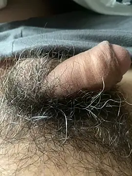Snapshot of hairylittledic chatting on June 1, 10:55 pm hairylittledic online show from June 1, 10:55 pm