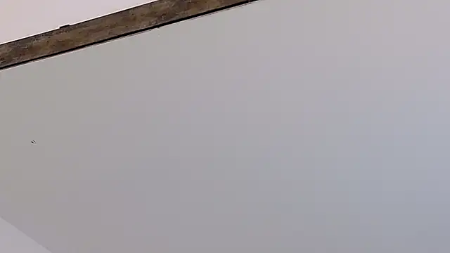 LucyHanks online show from February 23, 3:42 pm