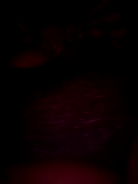 pihuu1313 online show from February 20, 7:58 pm