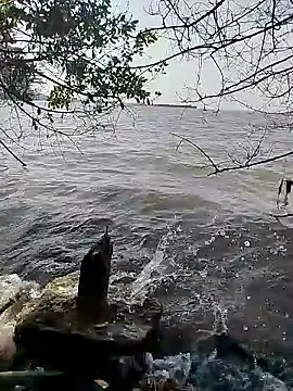 Andreskelly online show from February 16, 1:51 pm