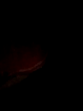 Snapshot of pritiqueen1001 chatting on December 13, 8:58 pm pritiqueen1001 online show from December 13, 8:58 pm