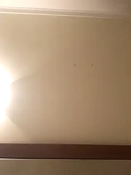 Palinchik online show from January 7, 9:39 pm