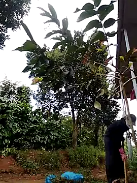 Metting88 online show from December 15, 1:21 am