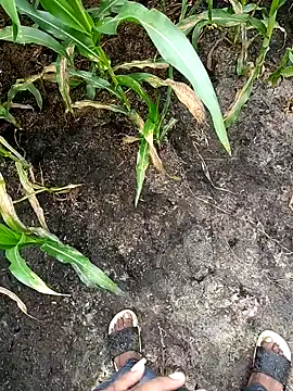 loki-king-143 online show from February 24, 3:59 am