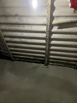 Nika-be online show from March 27, 11:43 am