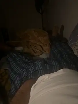 Snapshot of Night_outcam chatting on February 17, 7:20 pm Night outcam online show from February 17, 7:20 pm