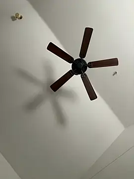 faces818 online show from March 21, 5:16 pm