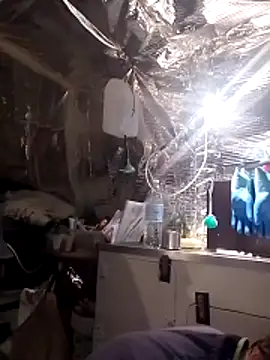 Quebec46 online show from April 14, 9:37 am