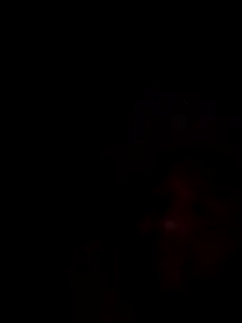 Snapshot of mikeeddy1517 chatting on December 17, 6:30 am mikeeddy1517 online show from December 17, 6:30 am