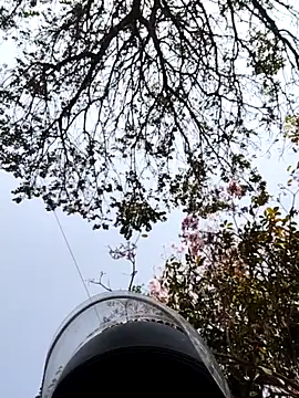 bnglrboy0886 online show from March 7, 10:01 am