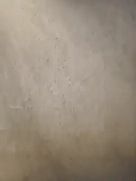 Telugumistress online show from January 8, 12:07 pm