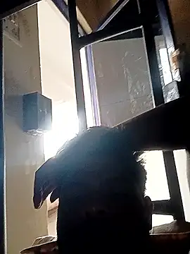 Anji8639 online show from April 19, 11:53 am