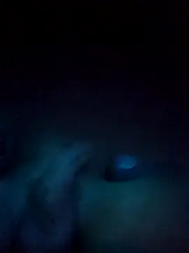 norvisito online show from December 19, 6:20 am