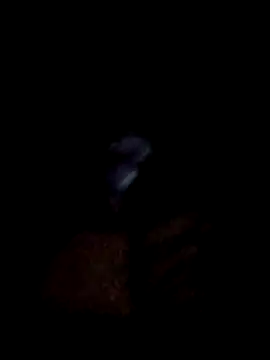 yourwellman online show from March 5, 5:20 pm