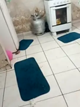 xxxxbucetuda  online show from December 19, 3:52 pm