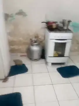 xxxxbucetuda  online show from December 20, 10:44 am