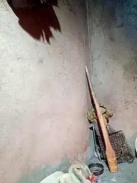 yula-bi online show from February 24, 12:14 pm