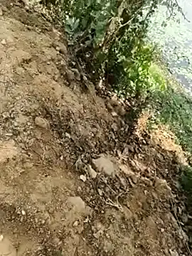 Sheela Sex90 online show from April 17, 5:32 am