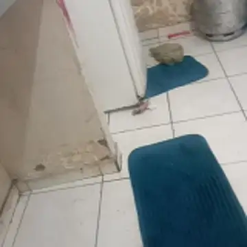 xxbucetudaxxx online show from December 20, 11:17 am