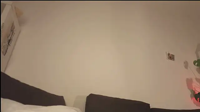 poli blink online show from April 22, 12:13 am