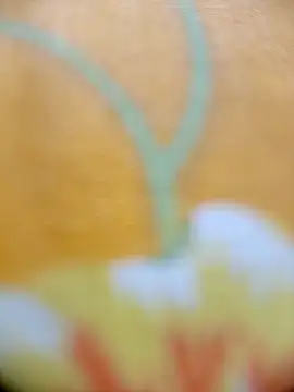 Hooghlypinkivabi online show from February 20, 2:28 pm