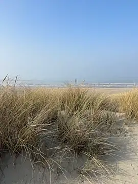 friemeldepiemel online show from March 8, 12:42 pm